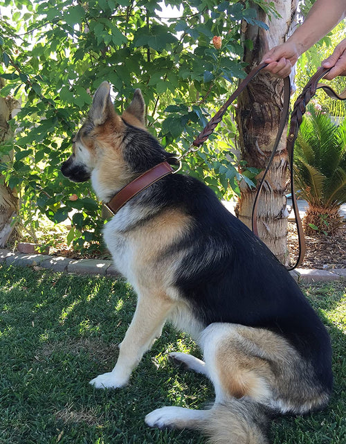 Load image into Gallery viewer, Padded Leather Dog Collar, Large Brown, Real Genuine Leather, 24" Long X 1.5 Wide, Fits Neck Size 18" to 21" Inches
